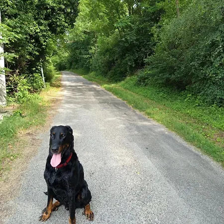 Le Refuge Des Cimes Nonette